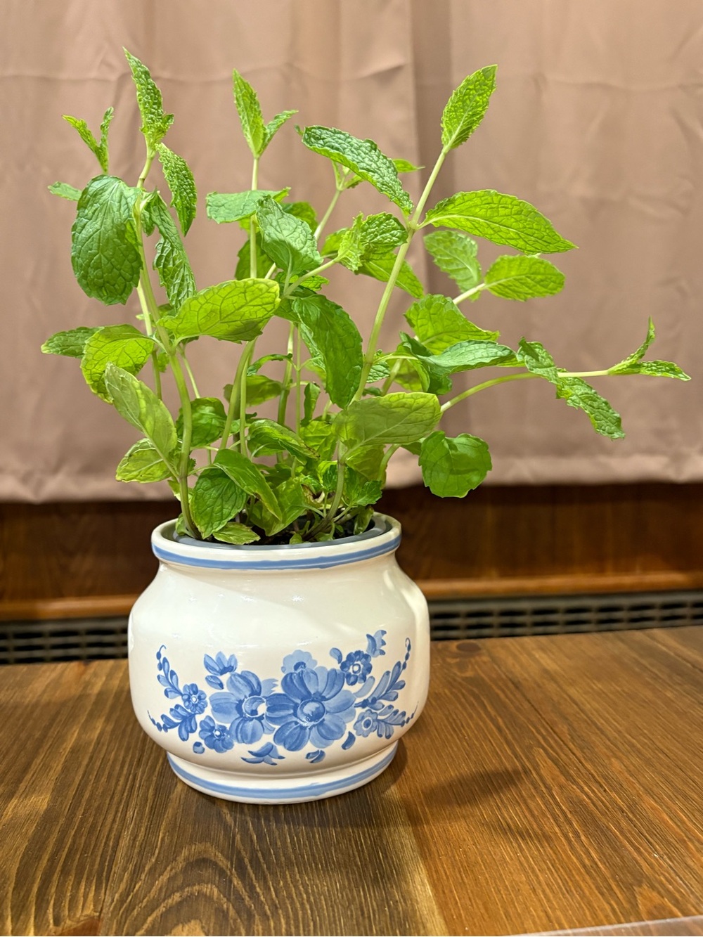 Vintage 1981 FTD ceramic planter cream with blue flower design